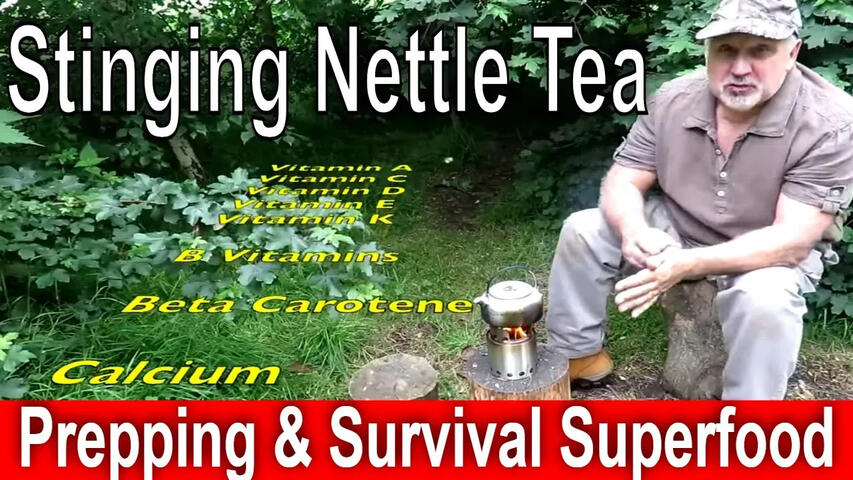 Stinging Nettle Tea